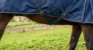 Underbelly view of a horse rug showing adjustable cross surcingles fastened securely to keep the turnout rug from slipping.