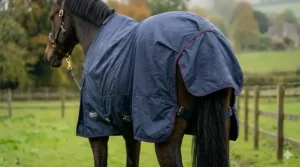 Rear view of a bay horse in a field wearing a navy turnout rug, showcasing the large tail flap for wind protection, taped seams with pink trim, and water droplets beading on the fabric surface.