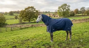 Grey pony in a field during autumn wearing a navy 50g lightweight high neck turnout rug.