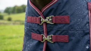 Close-up technical diagram of the adjustable double chest fastenings and cross surcingles on a horse medium weight turnout rug.