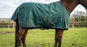 Mediumweight waterproof horse rug detailing secure cross surcingles and tail flap closure