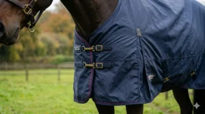 A close-up shot of the front of a bay horse wearing a navy turnout rug, highlighting the double chest buckle fastenings, metal clips, a shoulder gusset for freedom of movement, and light water droplets on the waterproof ripstop fabric.