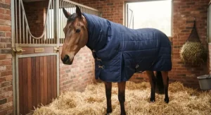 A happy horse relaxed in its stable wearing a warm, well-fitted stable combo rug