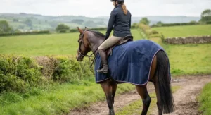 Sweat-wicking fleece exercise sheet for horses cooling down after a schooling session in the British countryside.