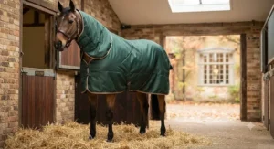 A lightweight, breathable stable rug with an integrated neck cover, perfect for layering during autumn.