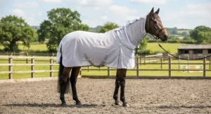 A bay horse in an arena showcasing a versatile combo fly rug for horses with a secure fixed neck cover.