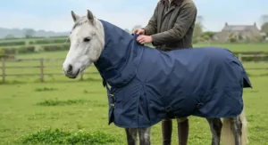A cheerful pony being fitted with a versatile pony turnout rug featuring a detachable neck cover