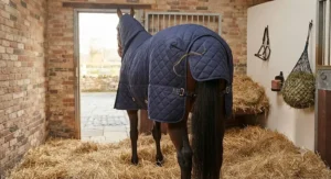 Rear view of a horse fitted with a breathable, warm heavyweight stable rug in a loose box