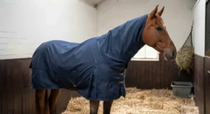 A horse wearing a lightweight stable rug with an attached neck cover for extra warmth on chilly evenings