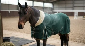 A cosy fleece-lined pony stable rug showing moisture-wicking properties after exercising in the arena.