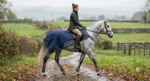 Warm fleece-lined waterproof exercise sheet for horses on chilly days