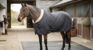 A premium fleece-lined wicking cooler rug for horses, ideal for keeping them warm and dry