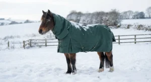A native pony standing in a snowy field wearing a thick heavyweight pony turnout rug with a neck cover