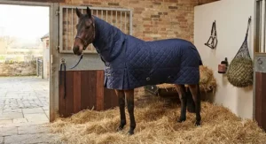Horse model showcasing a heavyweight stable rug with an integrated detachable neck cover