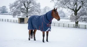 A chestnut horse standing in a snowy field wearing a heavyweight waterproof breathable horse rug with a full neck cover.