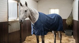 A grey horse wearing a lightweight stable rug featuring shoulder gussets for better movement in the box