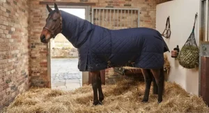 A clipped horse standing in a stable wearing a thick, high-fill heavyweight stable rug