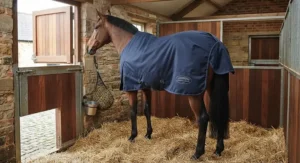 Rear view of a horse wearing a medium weight stable rug in the stable