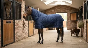 A groomed horse wearing a stable combo rug in a traditional British stable aisle