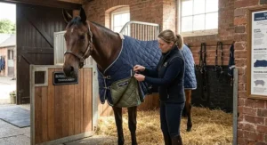 Demonstration of layering stable rugs using a flexible under-rug liner system attached to a standard stable rug for extra warmth.