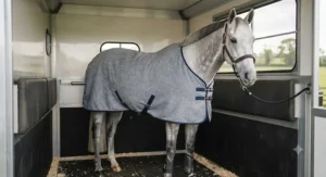 Lightweight grey fleece cooler rug for horses perfect for travelling