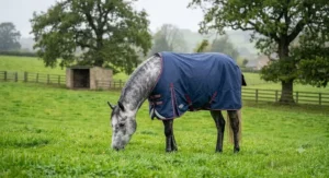A grey pony wearing a lightweight waterproof breathable horse rug during a British summer rain shower.