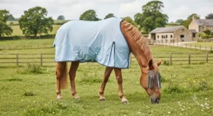 A lightweight wicking cooler rug for horses being used on a mild day in a UK paddock