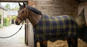 Traditional check pattern fleece cooler rug for horses