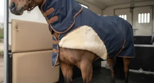 A high-quality, fleece-lined horse travel rug designed for extra comfort during long journeys.