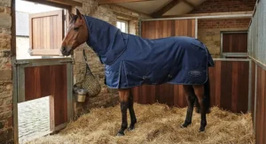 Horse model showcasing a medium weight stable rug with detachable neck cover