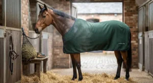 Moisture-wicking fleece cooler rug for horses drying off after grooming
