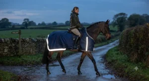 Waterproof exercise sheet for horses featuring reflective strips for evening hacking
