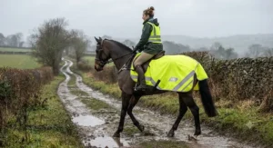 High-visibility waterproof exercise sheet for horses during winter hacks