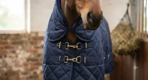 Demonstrating the secure chest fastenings on a standard stable combo rug for horses