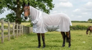 A bay gelding fitted with a full-neck UV fly rug for horses, offering complete protection against biting midges.