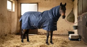 A navy blue pony stable rug featuring a detachable neck cover and secure fillet string inside a livery yard stable.
