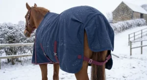 Rear view illustration of a horse rug showing the deep tail flap on a waterproof breathable horse rug for maximum weather protection.
