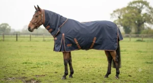 Side profile of a horse sporting a waterproof horse travel rug in a field.