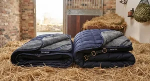 Comparison of heavyweight stable rug fill thickness for winter horse care