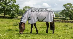 A horse wearing a hybrid combo fly rug for horses with a waterproof top panel for unpredictable British summer showers.