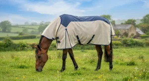 Horse wearing a hybrid fly rug featuring a waterproof spine panel for unpredictable British summer showers