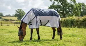 A hybrid turnout sheet combining a waterproof spine with mesh sides in a UV fly rug for horses during changeable British summers.