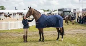 A competition horse looking smart in a wicking cooler rug at a British horse show venue