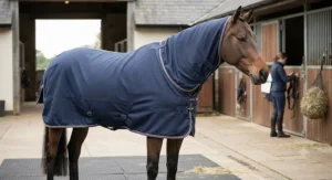 Horse wearing a wicking cooler rug with integrated neck cover for full cooling coverage