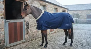 A clipped horse kept warm in a medium weight stable rug during winter