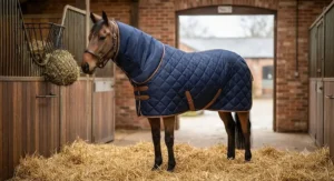 A horse groomed and turned out in the stable wearing a quilted stable rug with an integrated neck cover.
