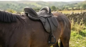 A budget-friendly endurance saddle featuring a deep, secure seat for rider stability during long-distance riding.