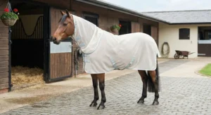Bay pony standing in a stable yard wearing a pony fly rug with a detachable neck cover