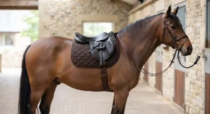 An economical GP numnah shaped to fit native ponies and cobs comfortably.