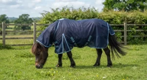 Shetland pony wearing a navy blue pony fly rug with an extended belly flap for extra protection